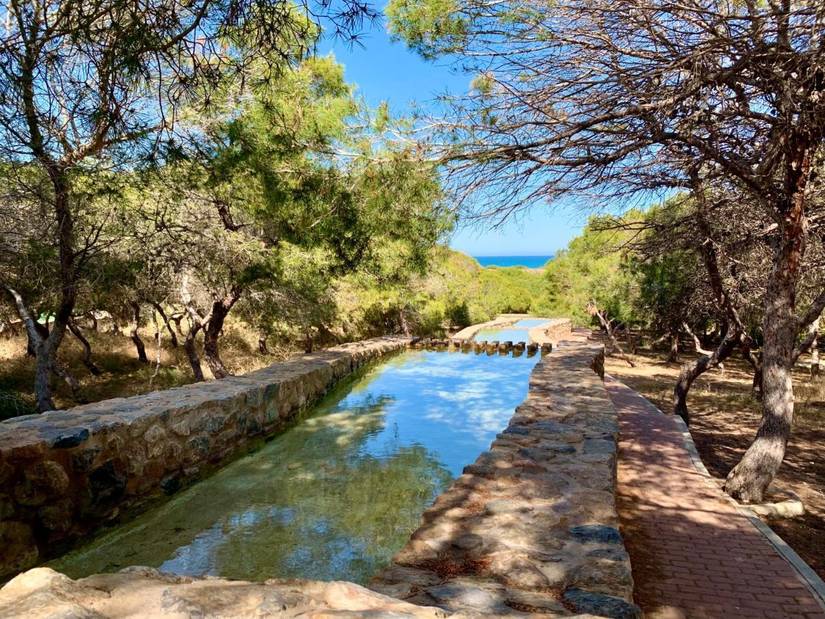 Your Holidays In La Mata Torrevieja Exteriör bild